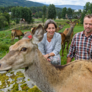 Heidi og Øyvind ute på beite, sittende ved en hjort.