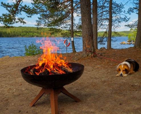 KI-generert bilde, basert på et foto av Anna Sanden, som viser en hund ved ei bålpanne på Trevatn.